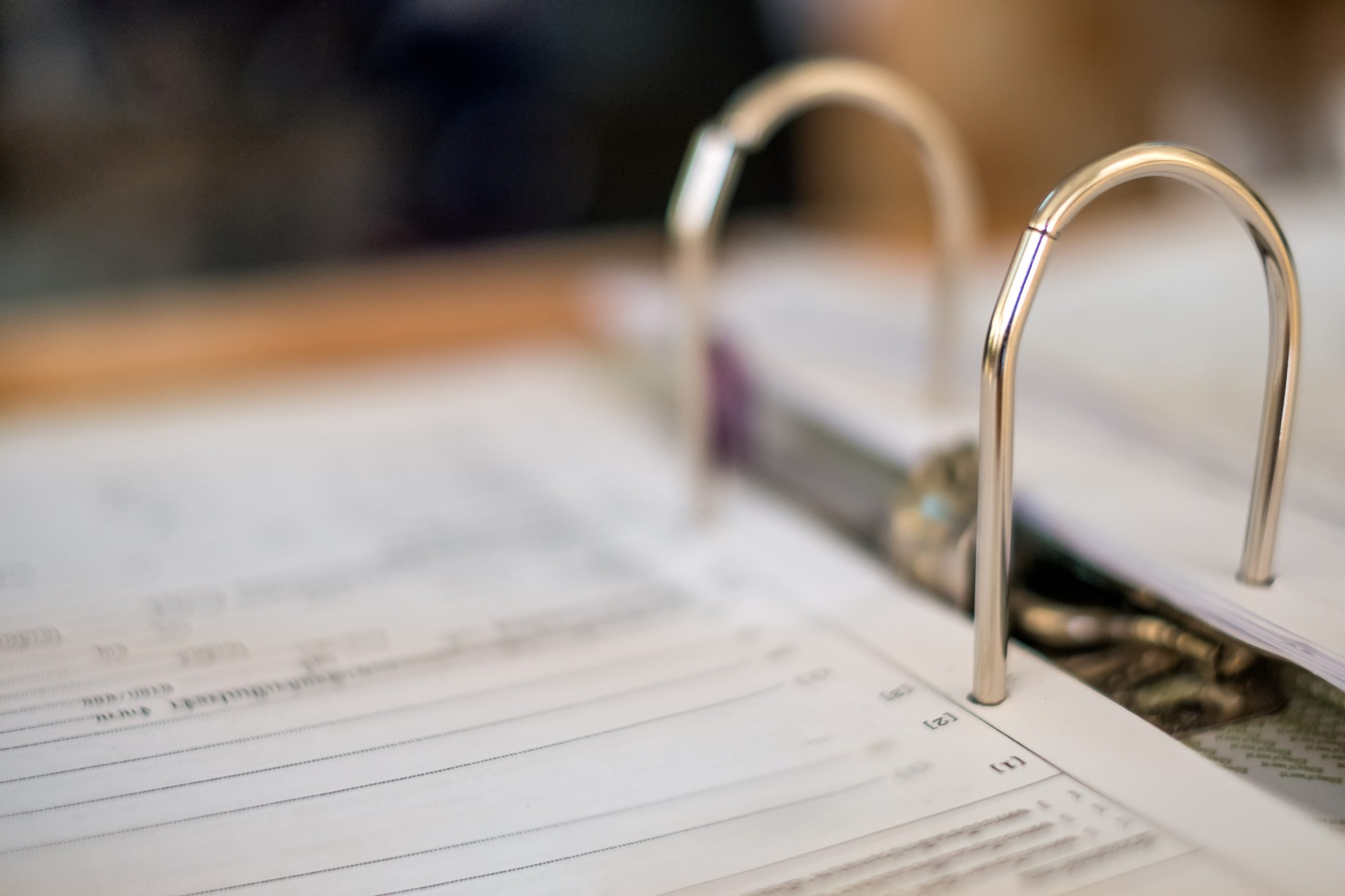 Electronic Document Storage in Governance – Beyond the File Cabinet