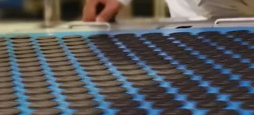 Worker in a food production facility wearing a hairnet and white uniform inspects chocolate biscuits on a conveyor belt, ensuring quality control.